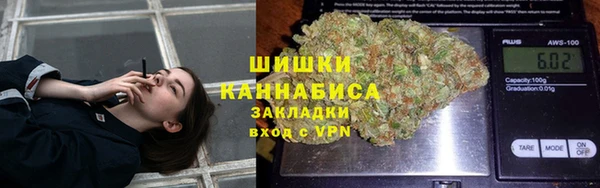 не бодяженный Алексин