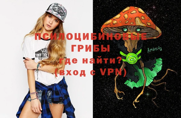 метадон Аркадак