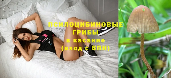 не бодяженный Алексин