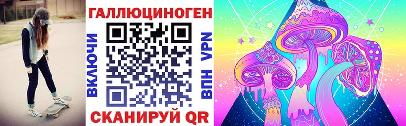 Псилоцибиновые грибы Psilocybe гидра сайт Салаир